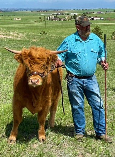 Frank Silva and Cattle