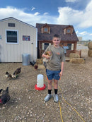 One Dozen Farm Fresh Eggs-2