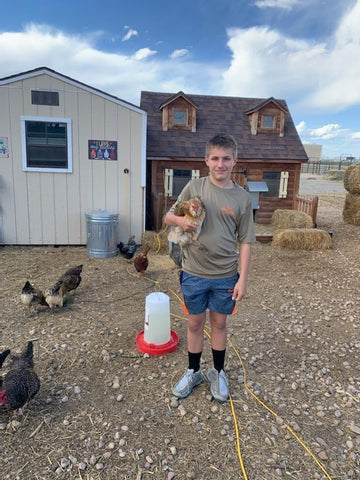 One Dozen Farm Fresh Eggs - 0