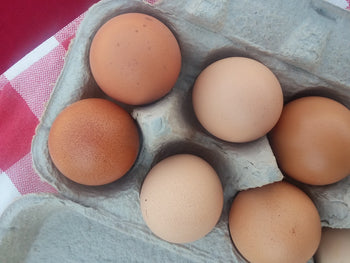 Eggs